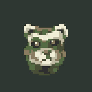 Ferret