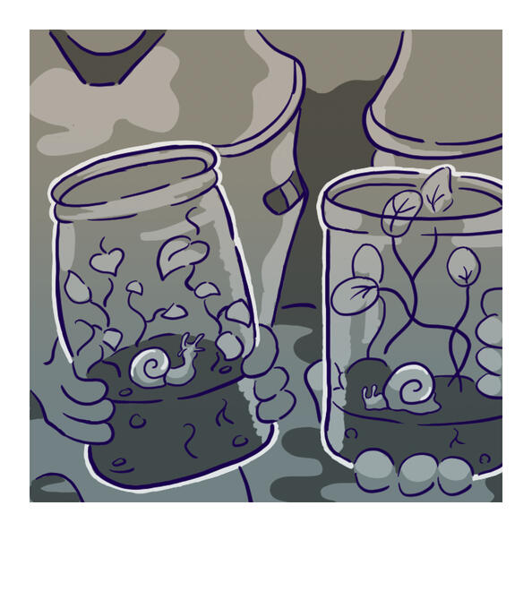 Terrarium