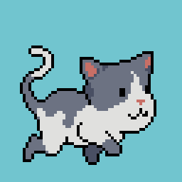 Grey Cat