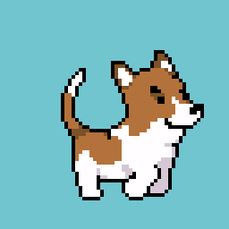 Russel Terrier