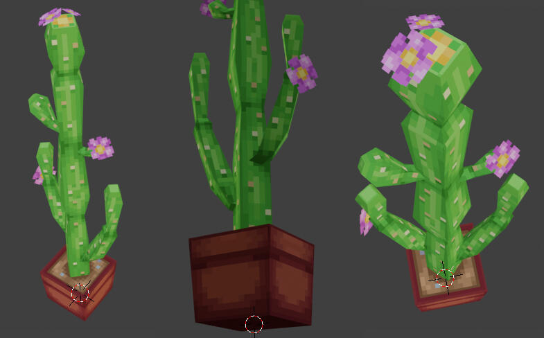 Potted Cactus