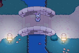 Bridge Night