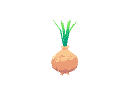 Onion