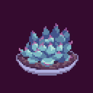 Succulent