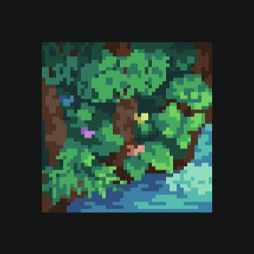 Rain Forest